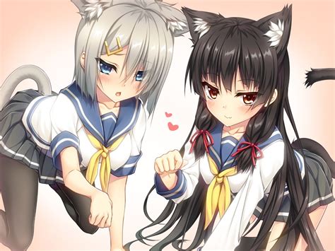 catgirl hentais|Nekomimi Hentai Collection in Hentai Haven .